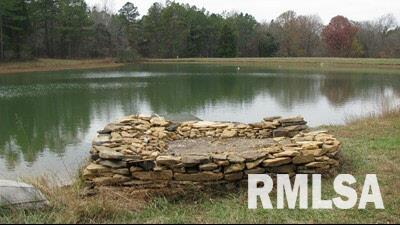 369 Raum Road Golconda, IL 62938 - Photo 6 of 27