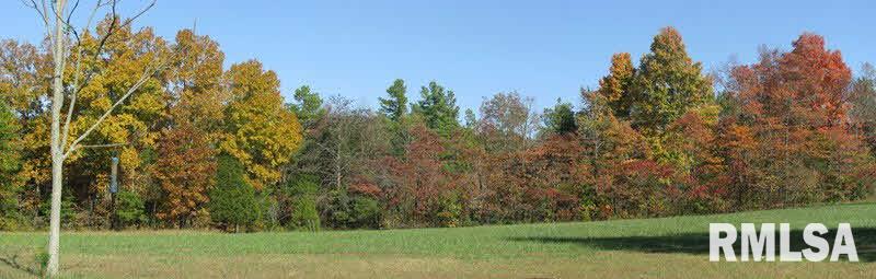 369 Raum Road Golconda, IL 62938 - Photo 7 of 27