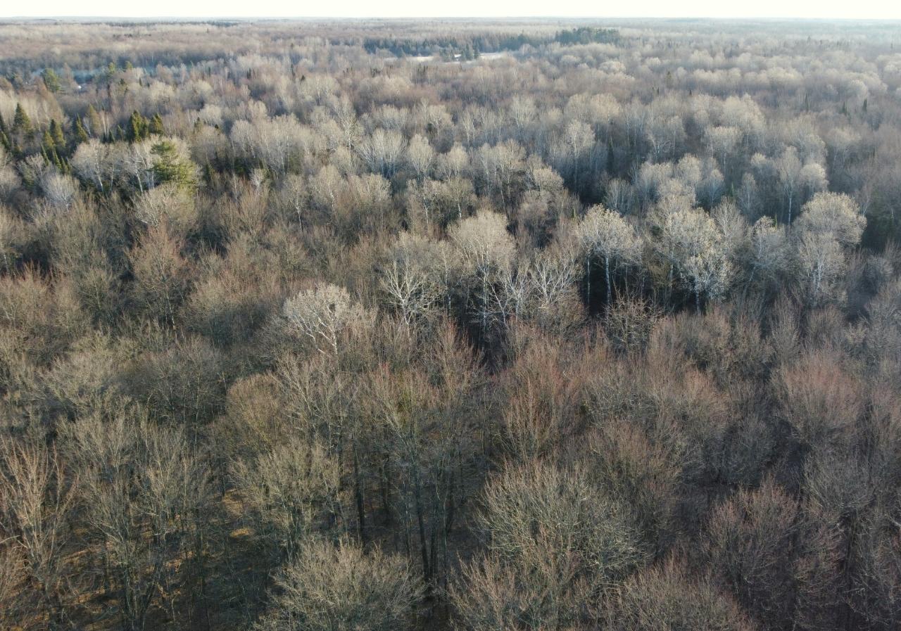 N7295 East Dover Road Phillips, WI 54555 - Photo 26 of 35 Gallery Image 26