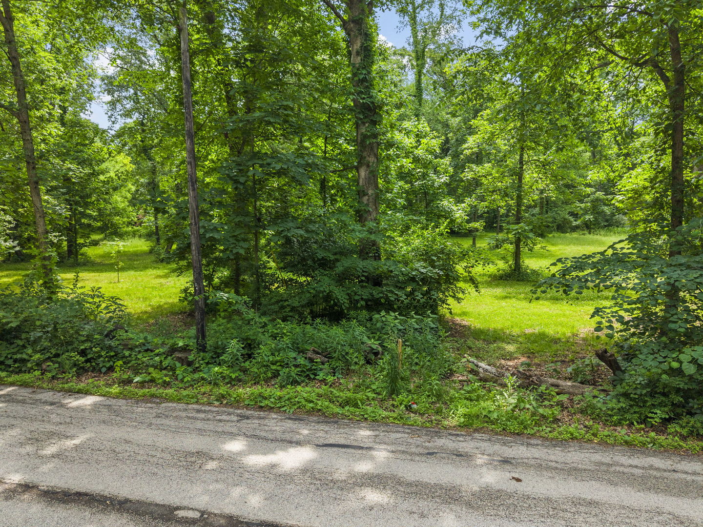 40W789 Whitney Road St. Charles, IL 60175 - Photo 2 of 9