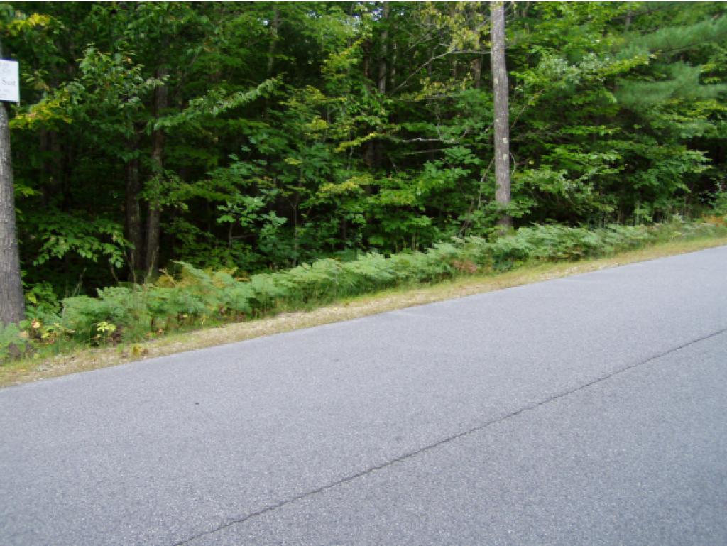 17-21 Beaver Road Strafford, NH 03884 - Photo 3 of 3