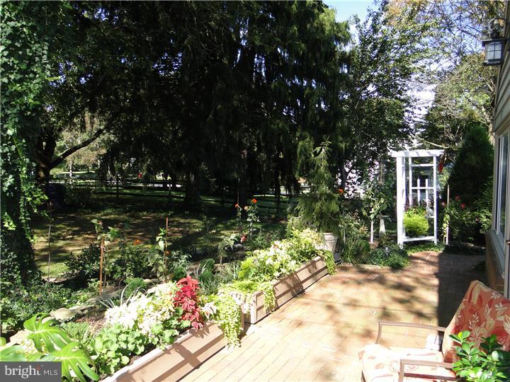 1175 Thomas Road Wayne, PA 19087 - Photo 22 of 23 Patio