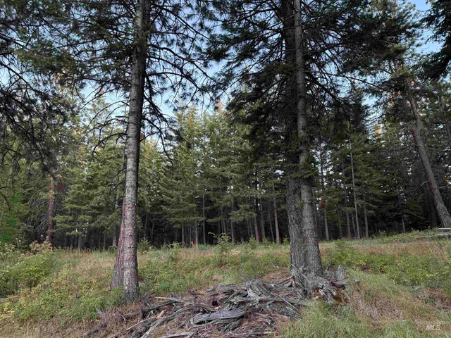 $105,000 | 26 Asotin Wa 99402, Asotin, WA 99402