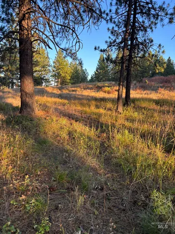 $105,000 | 26 Asotin Wa 99402, Asotin, WA 99402