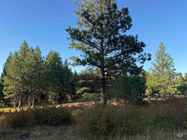 $105,000 | 26 Asotin Wa 99402, Asotin, WA 99402