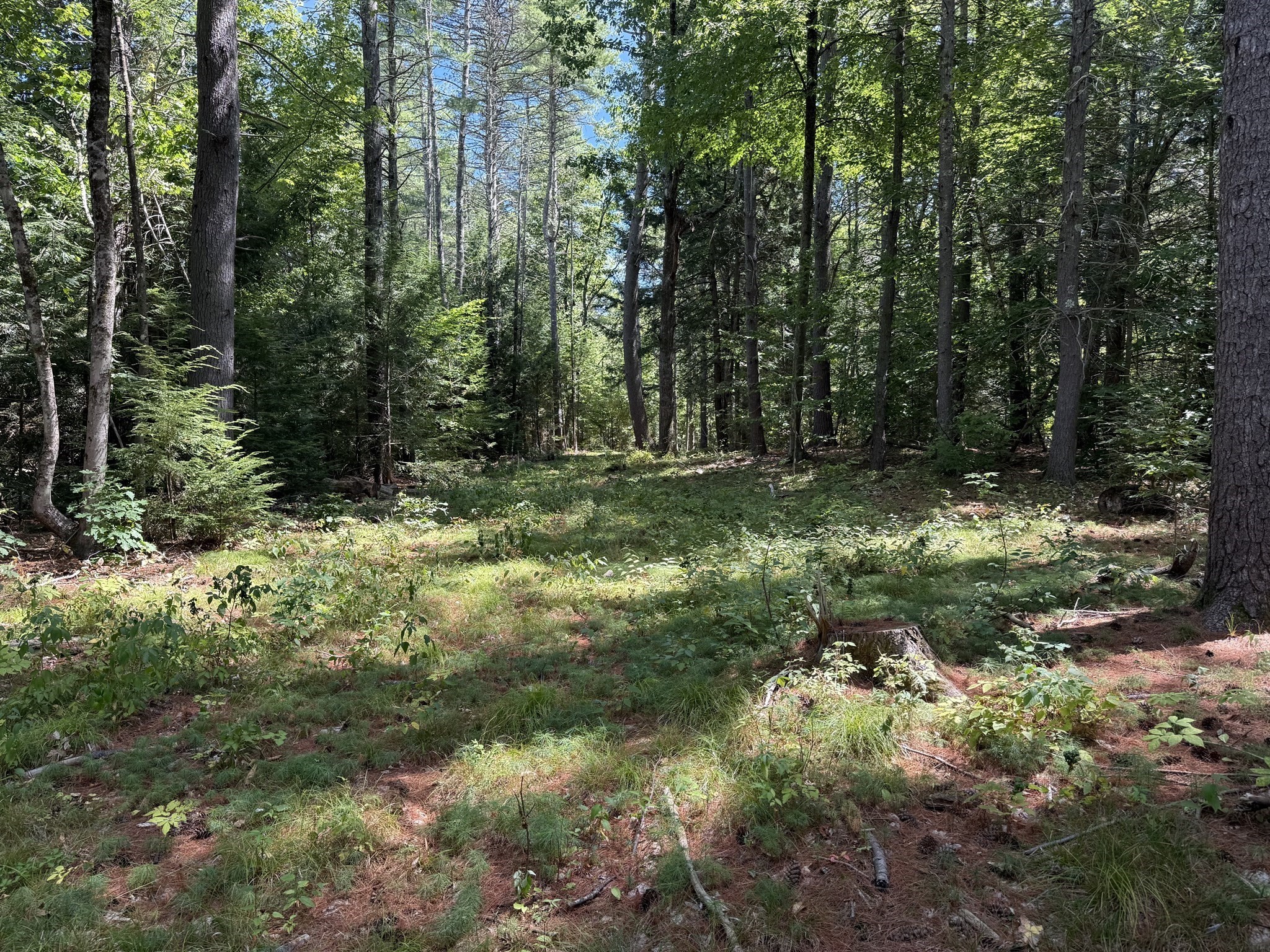 0 Old Keene Road Athol, MA 01331 - Photo 3 of 21 Gallery Image 3