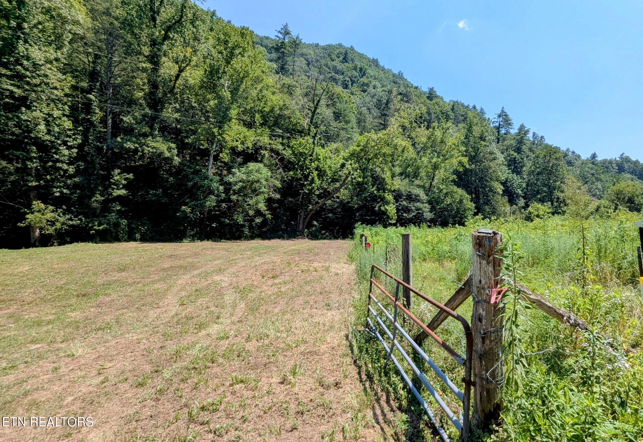 14 Acres Road Townsend, TN 37882 - Photo 4 of 13 50-foot easement to property