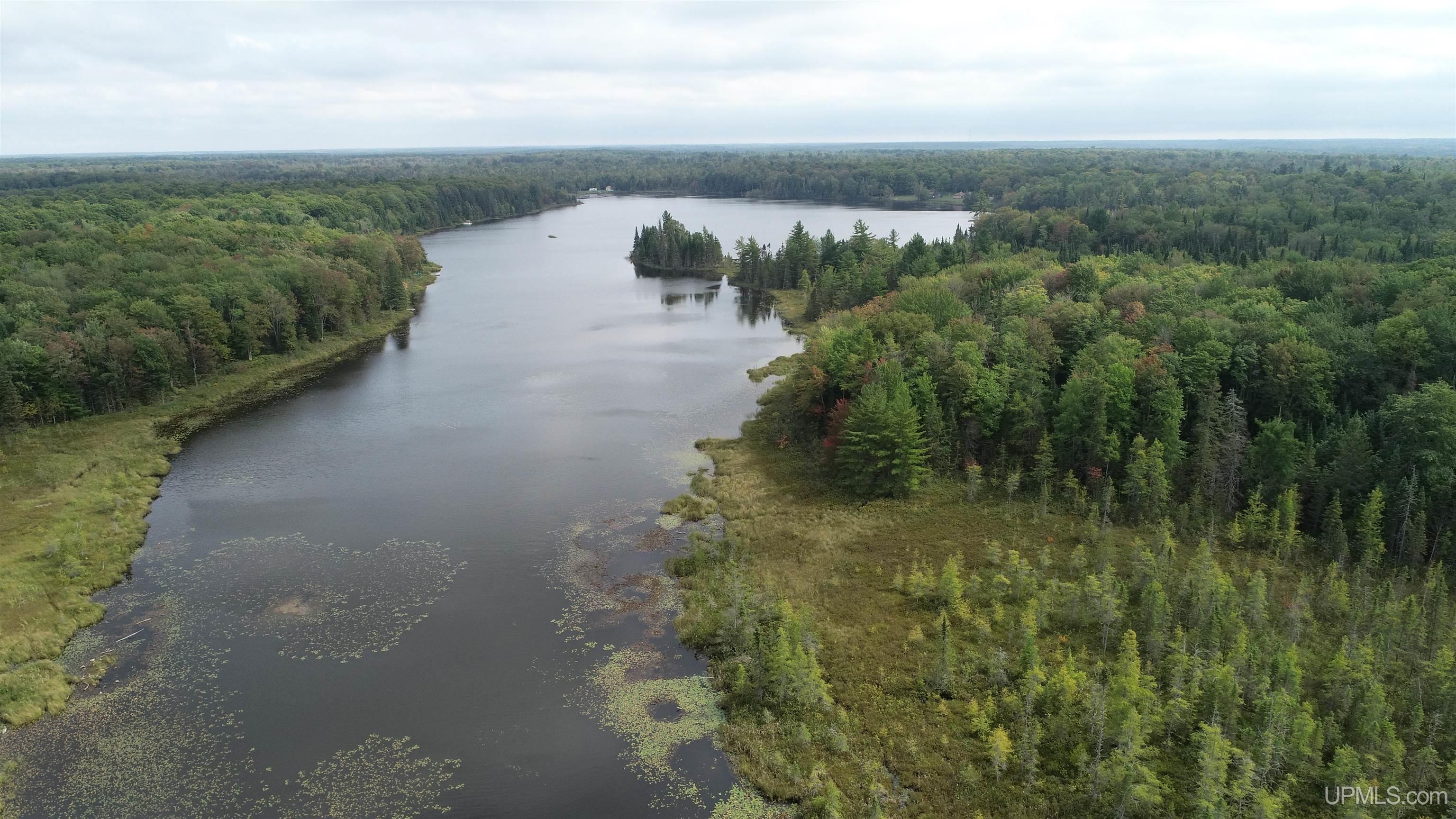 Tbd North Tbd N Powerline Road Germfask, MI 49836 - Photo 23 of 29