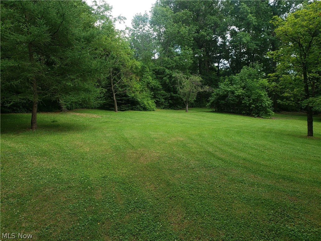 516 Rehwinkle Road Northfield, OH 44067 - Photo 6 of 9 Gallery Image 6