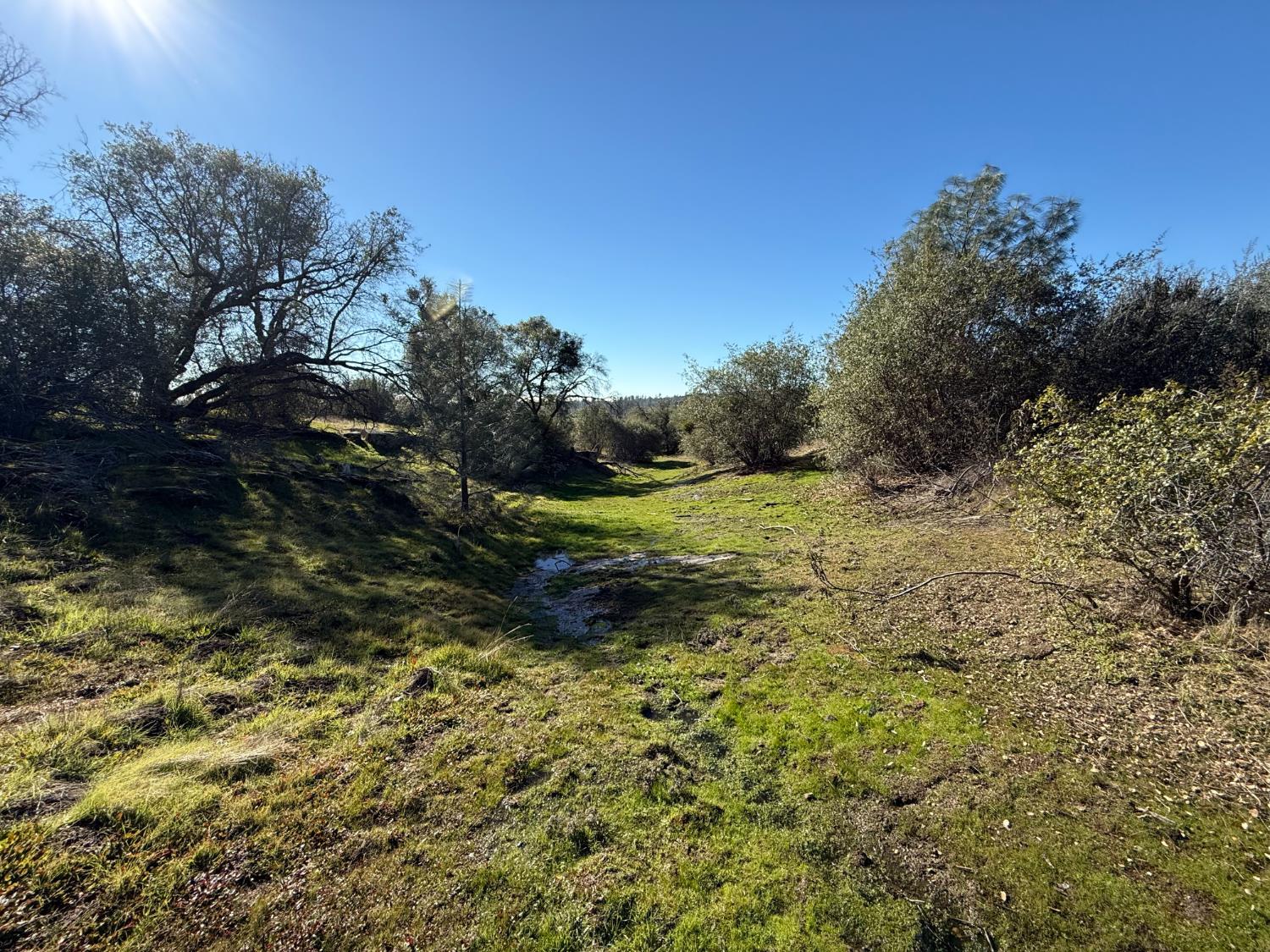 0 Flying O Ranch Road Coarsegold, CA 93645 - Photo 8 of 24