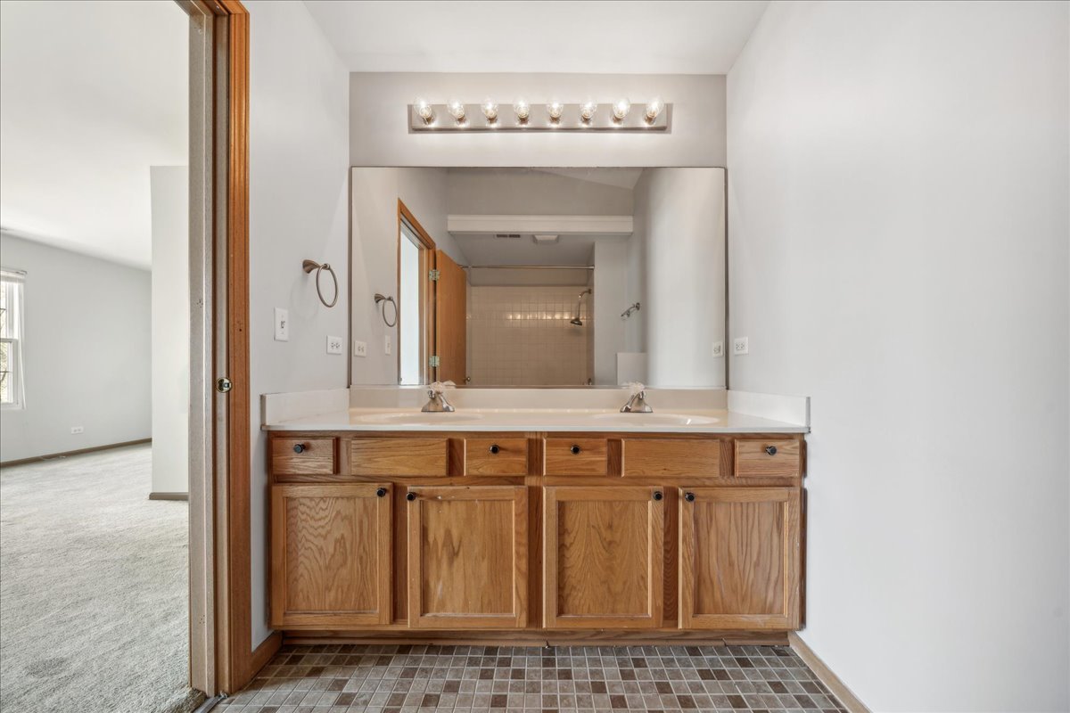 746 County Line Road Aurora, IL 60502 - Photo 15 of 16 a bathroom with a sink and a mirror