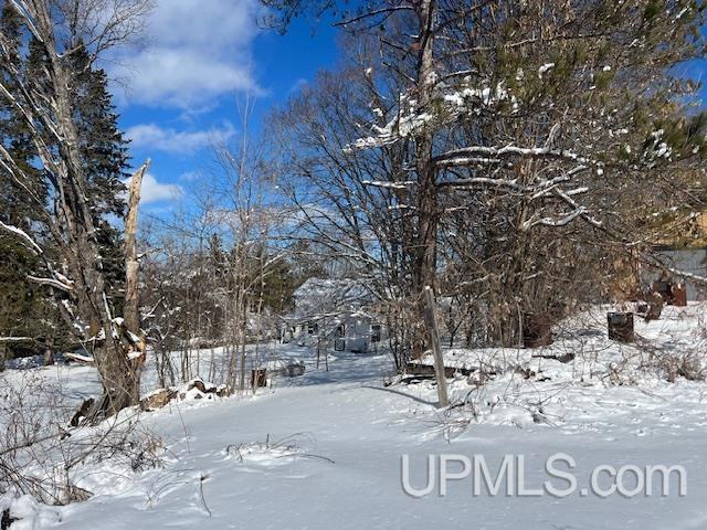 6634 Boarding House Road Foster City, MI 49834 - Photo 43 of 44 Gallery Image 43