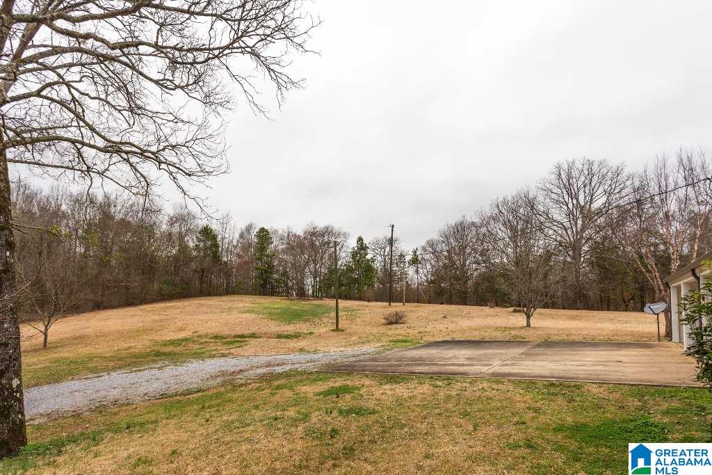1480 Turner Mill Road Talladega, AL 35160 - Photo 39 of 46
