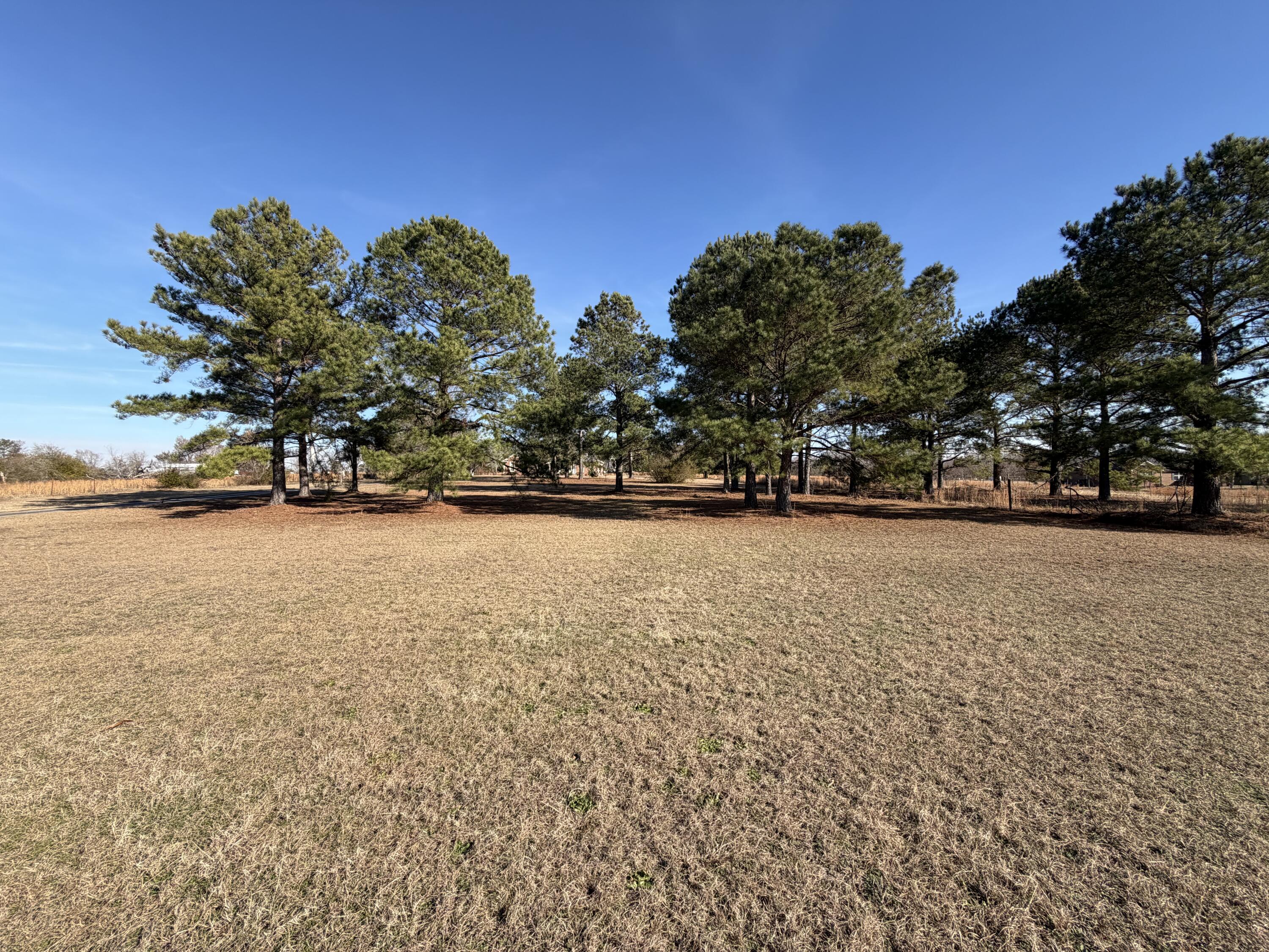1033 Mark Walden Road Blythe, GA 30805 - Photo 22 of 29 Front Yard