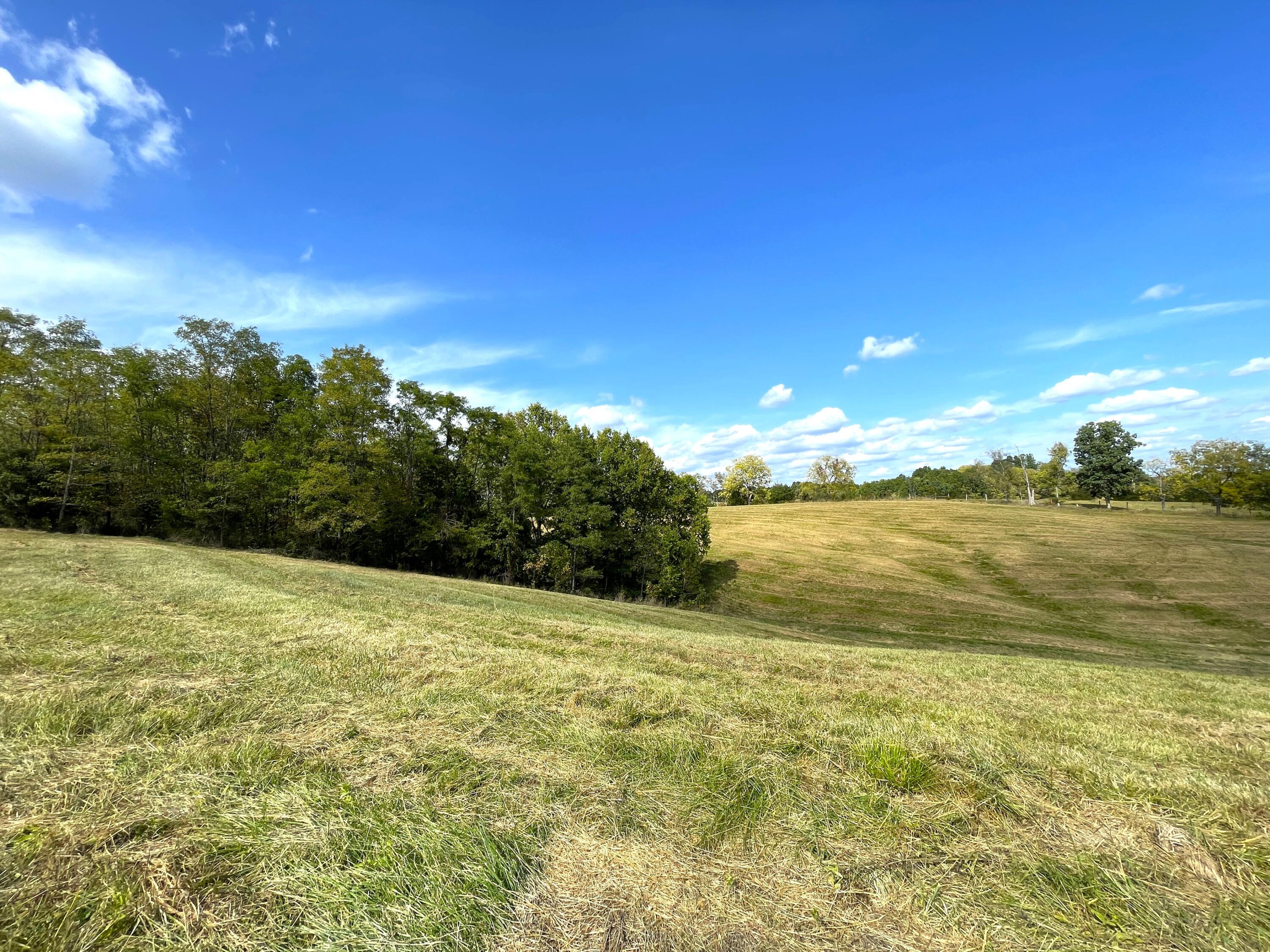 5 Corinth Road Corinth, KY 41010 - Photo 20 of 22 Gallery Image 20