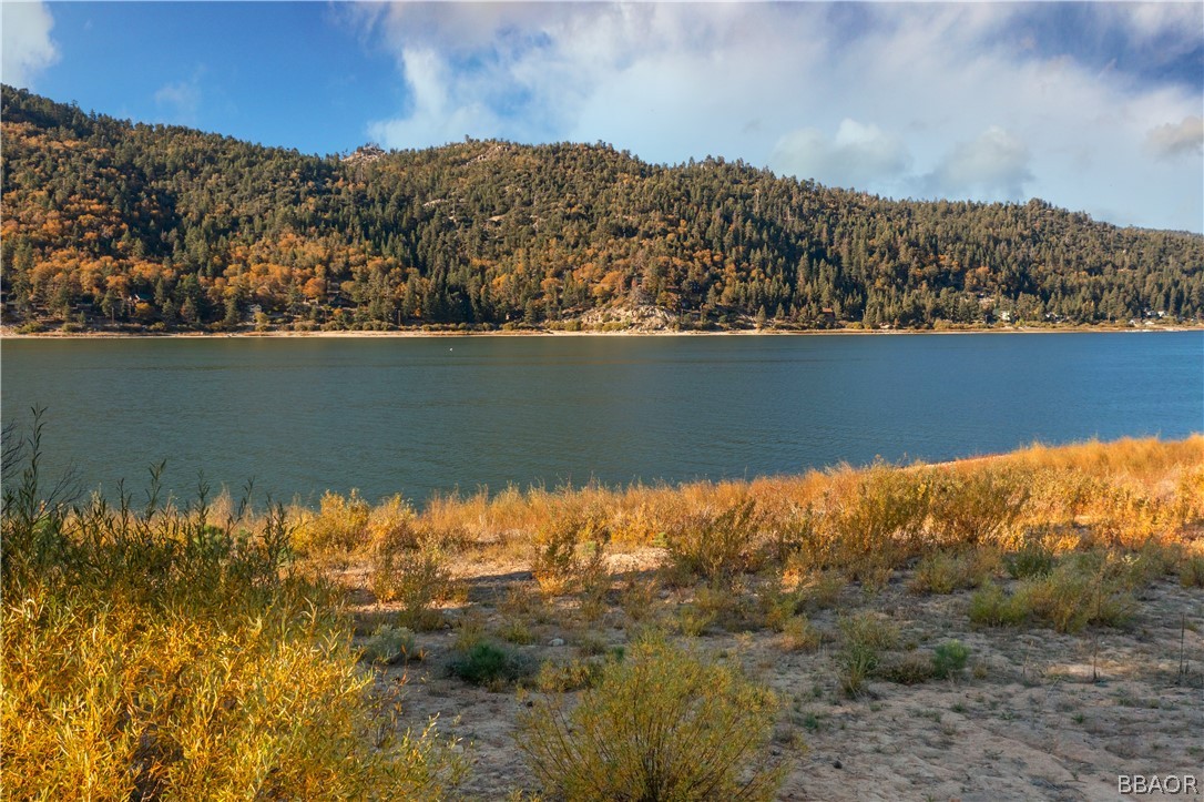 32 Big Bear Boulevard Big Bear Lake, CA 92315 - Photo 2 of 41