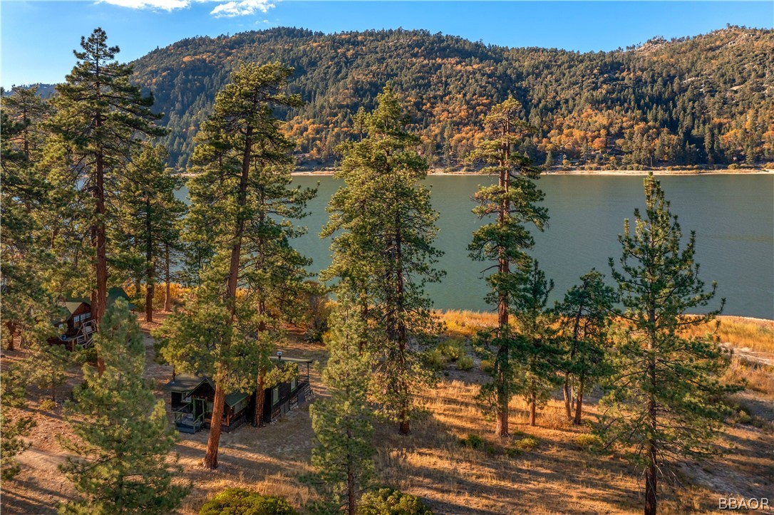 32 Big Bear Boulevard Big Bear Lake, CA 92315 - Photo 8 of 41