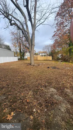 a view of yard with trees