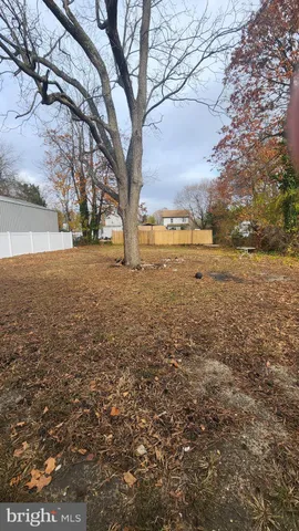 a view of yard with trees