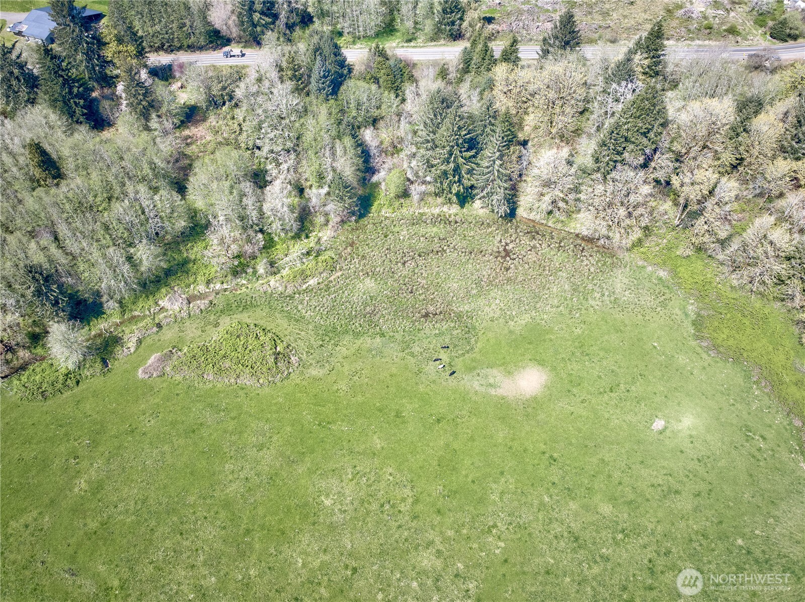 3987 West Sr4 Grays River Grays River, WA 98621 - Photo 12 of 12 a view of a yard with a tree