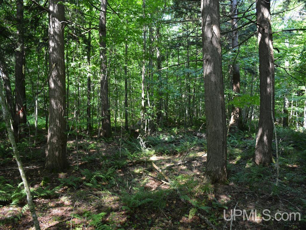 0 Peter White Road Au Train, MI 49806 - Photo 12 of 12
