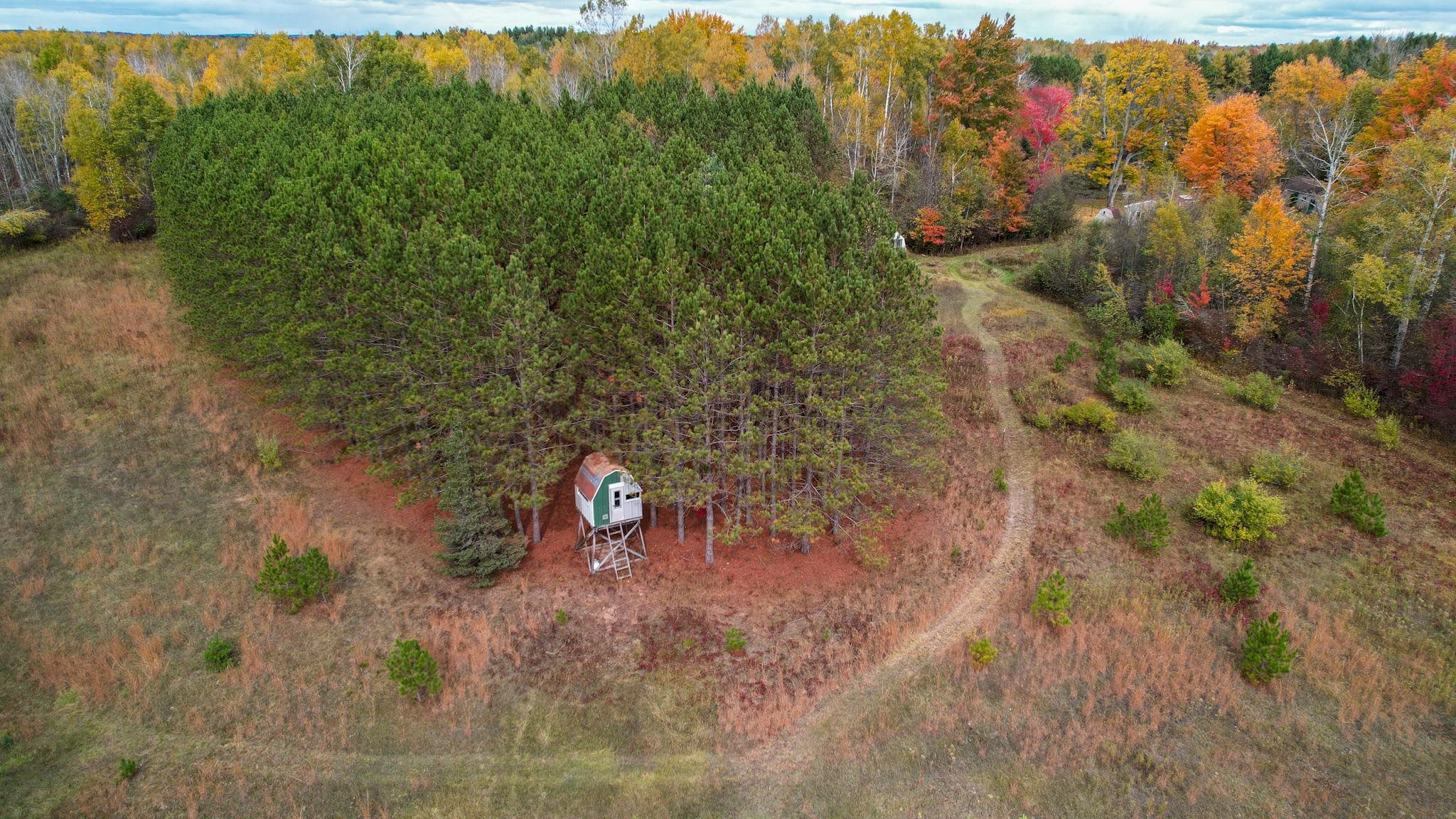 1167 West Sun Oil Road Gladwin, MI 48624 - Photo 44 of 75
