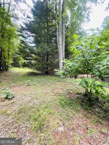 a view of a yard with plants