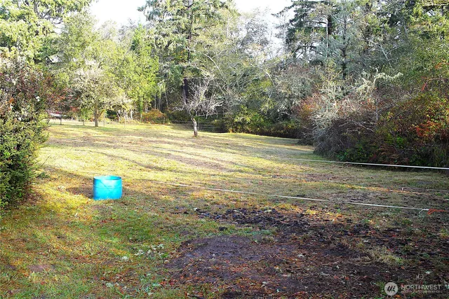 a view of outdoor space with trees