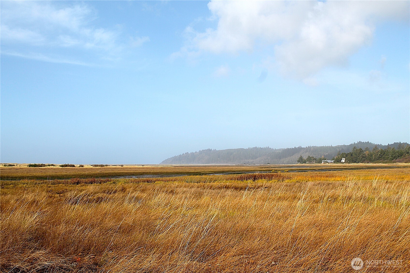 2621 Tokeland Road Tokeland, WA 98590 - Photo 27 of 38 a view of an ocean and beach