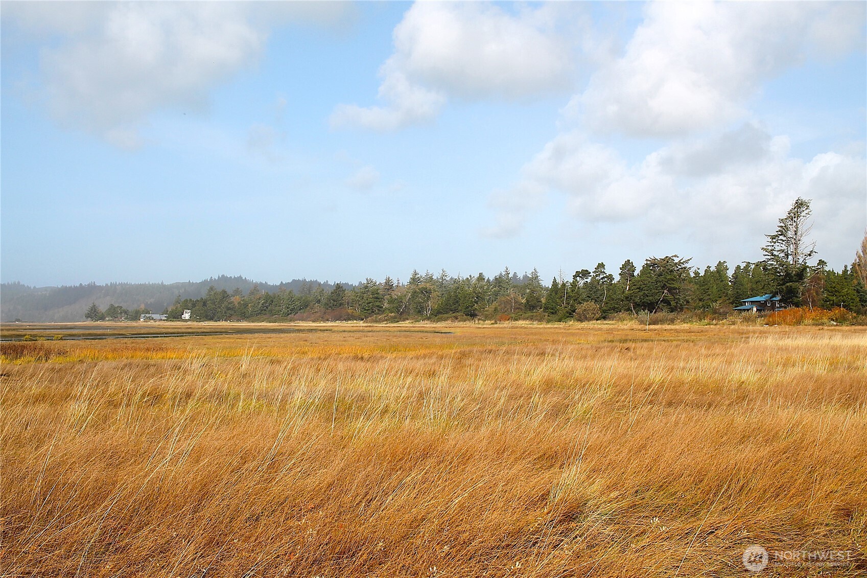 2621 Tokeland Road Tokeland, WA 98590 - Photo 28 of 38 a view of an ocean