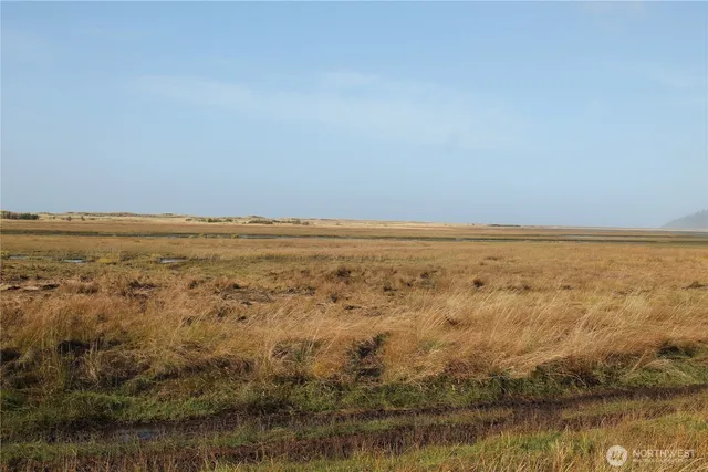 a view of beach and ocean