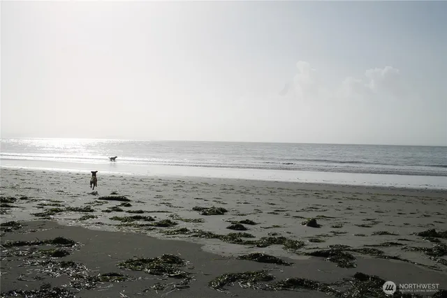 an view of beach and ocean