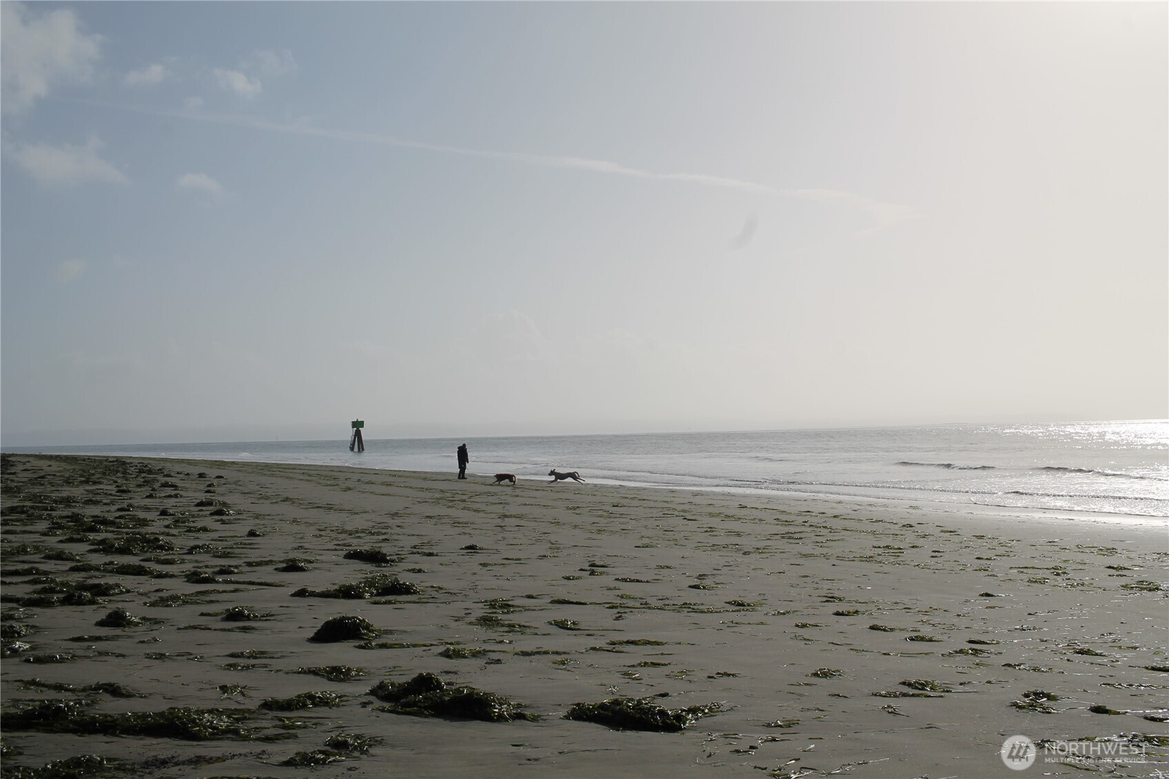 2621 Tokeland Road Tokeland, WA 98590 - Photo 37 of 38 a view of beach and ocean