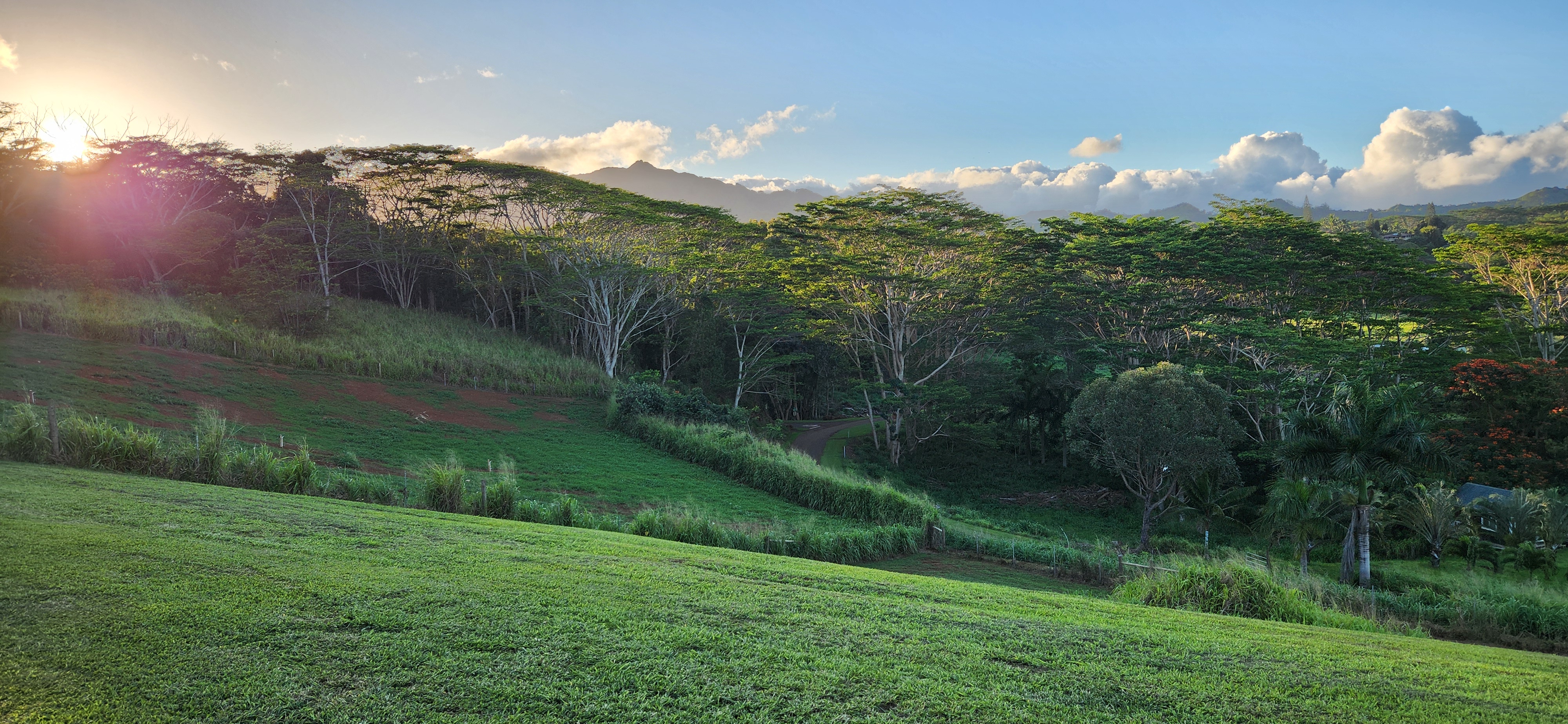 St, Unit 3C Kapaa, HI 96746 - Photo 13 of 25 a view of a big yard next to a yard