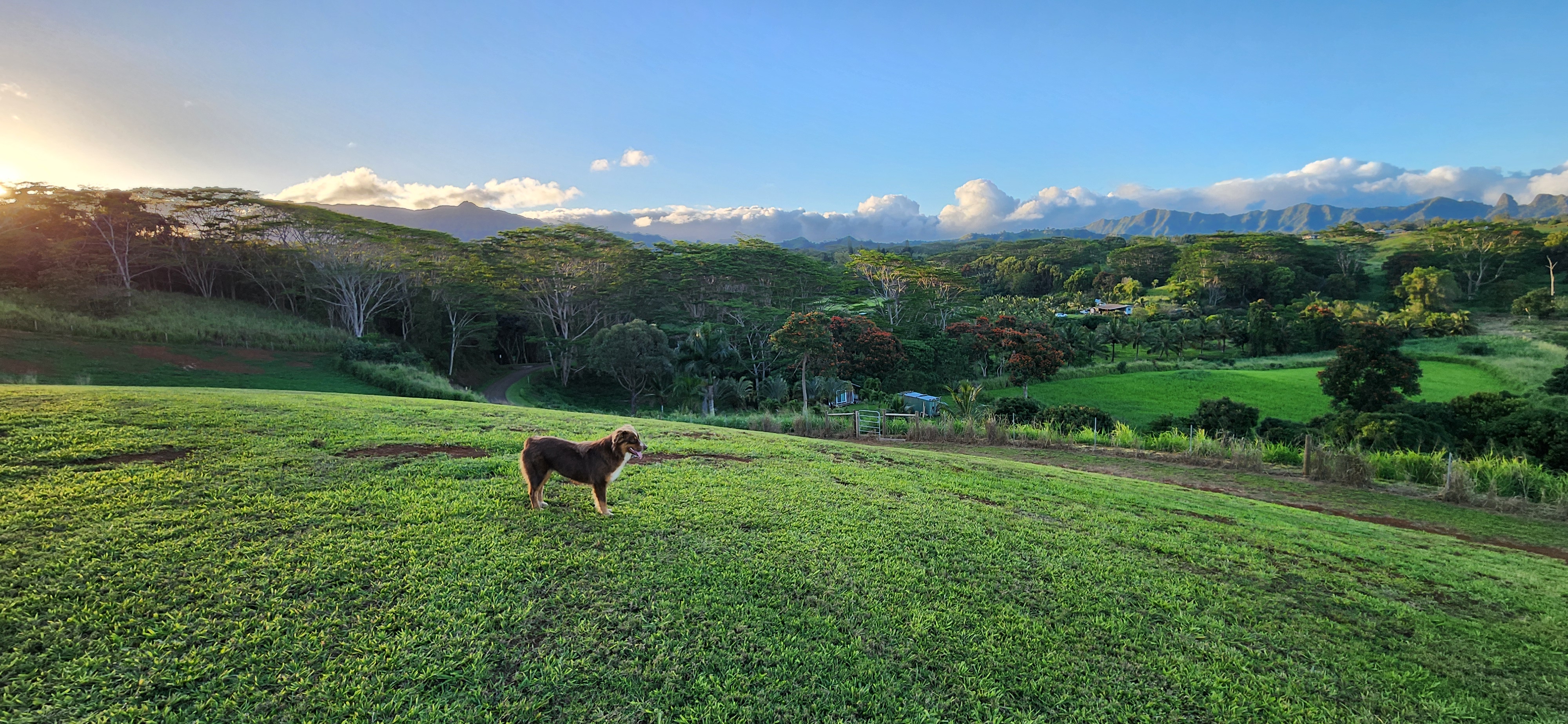 St, Unit 3C Kapaa, HI 96746 - Photo 14 of 25 a view of a lake in middle of the green field