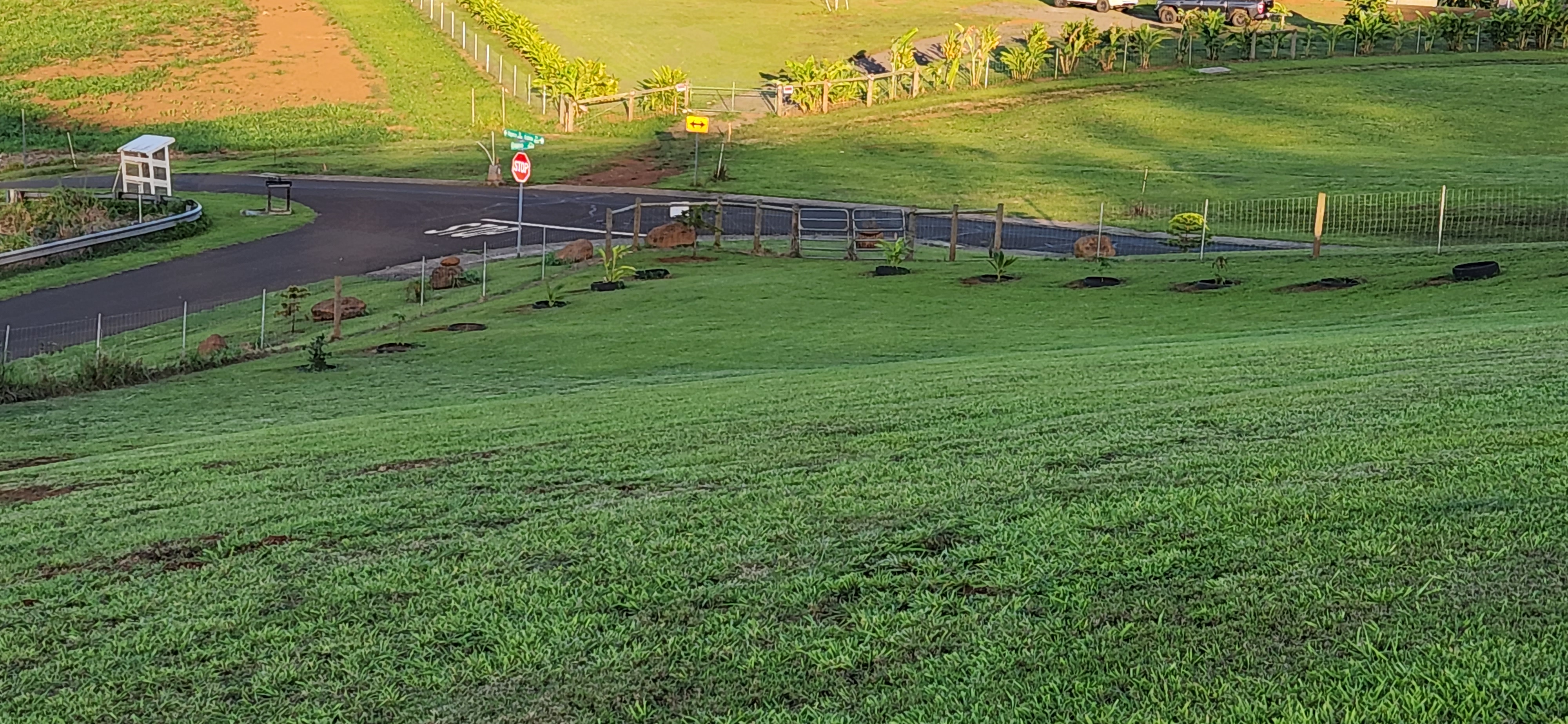 St, Unit 3C Kapaa, HI 96746 - Photo 15 of 25 an aerial view of a houses with outdoor space