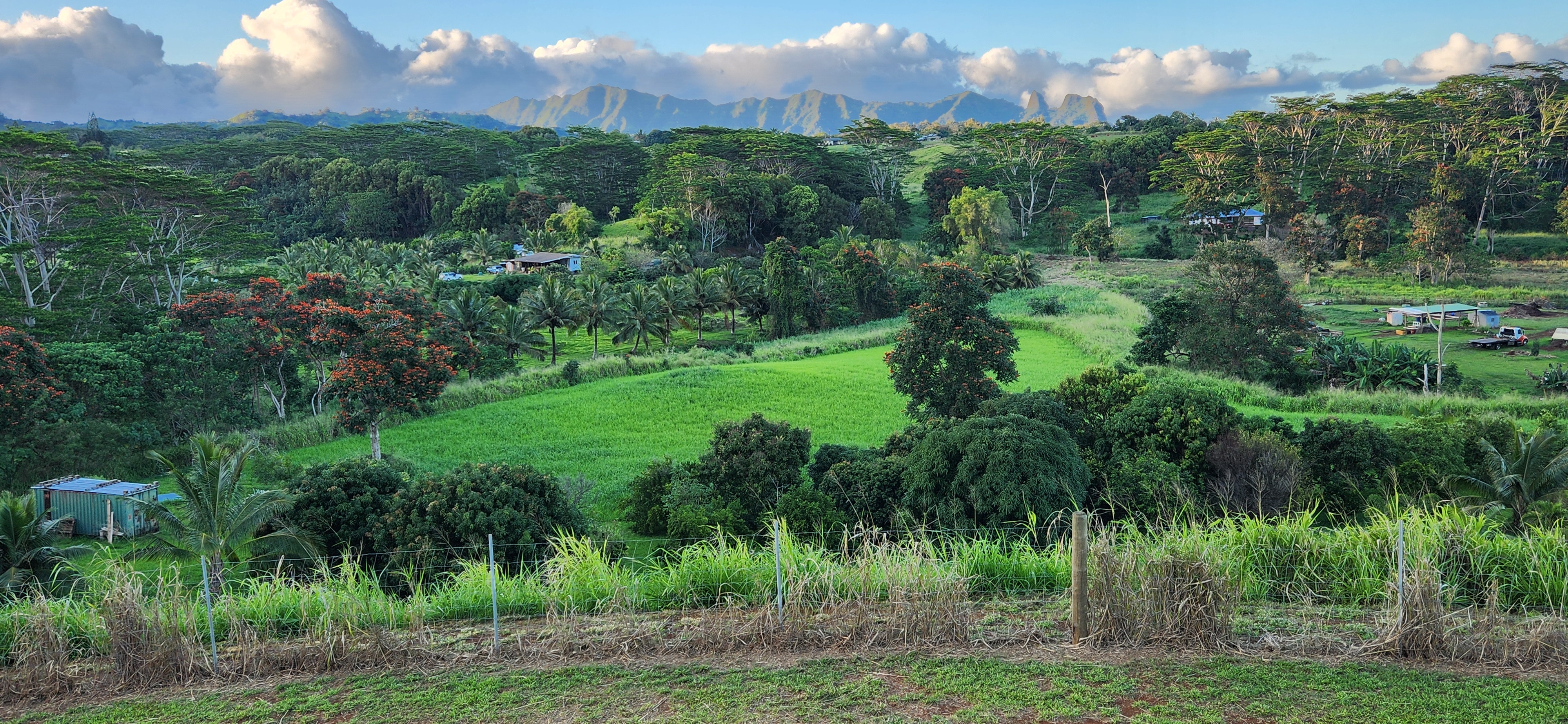 St, Unit 3C Kapaa, HI 96746 - Photo 16 of 25 a view of a city