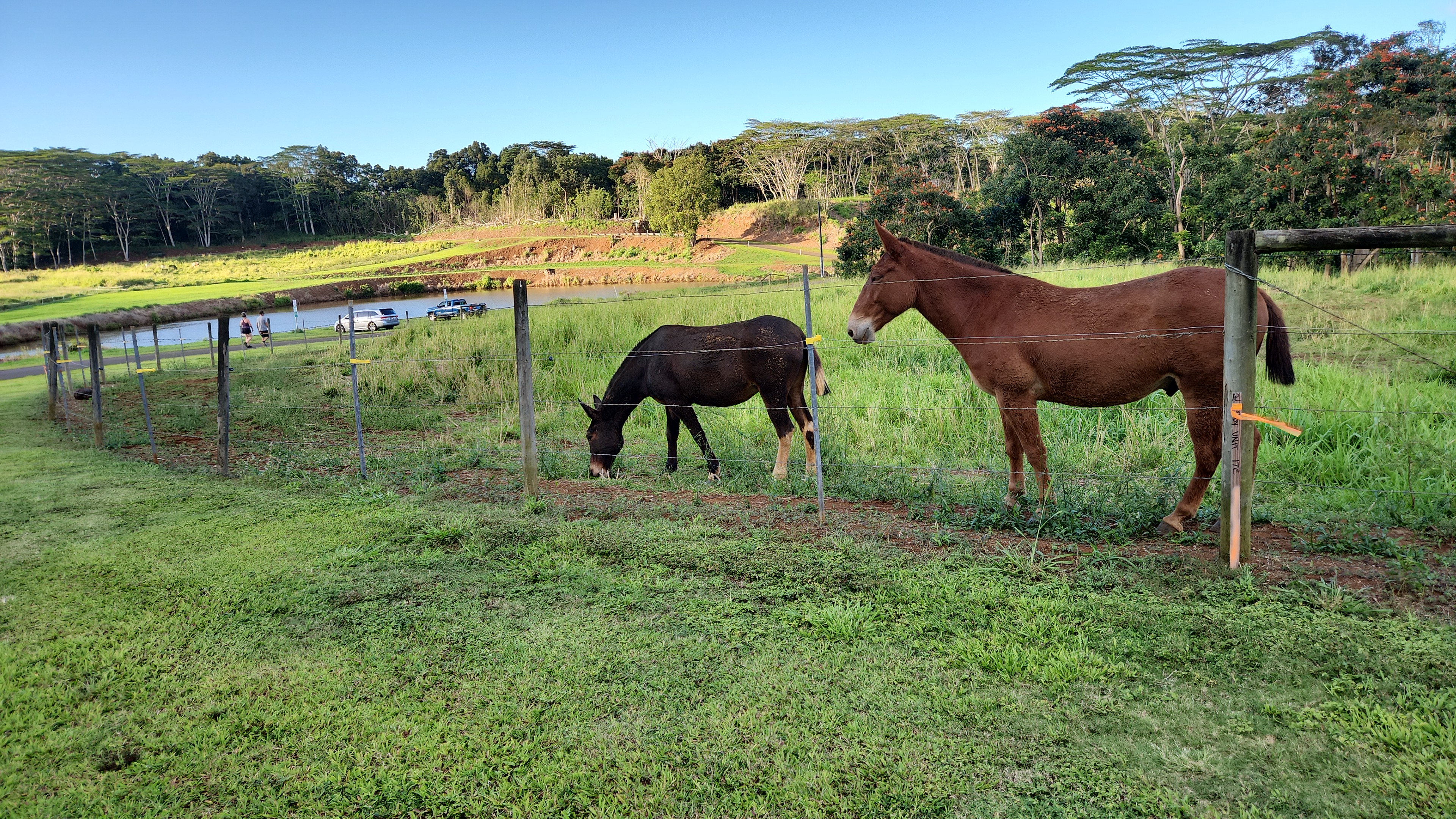 St, Unit 3C Kapaa, HI 96746 - Photo 17 of 25 a view of a garden and lake view