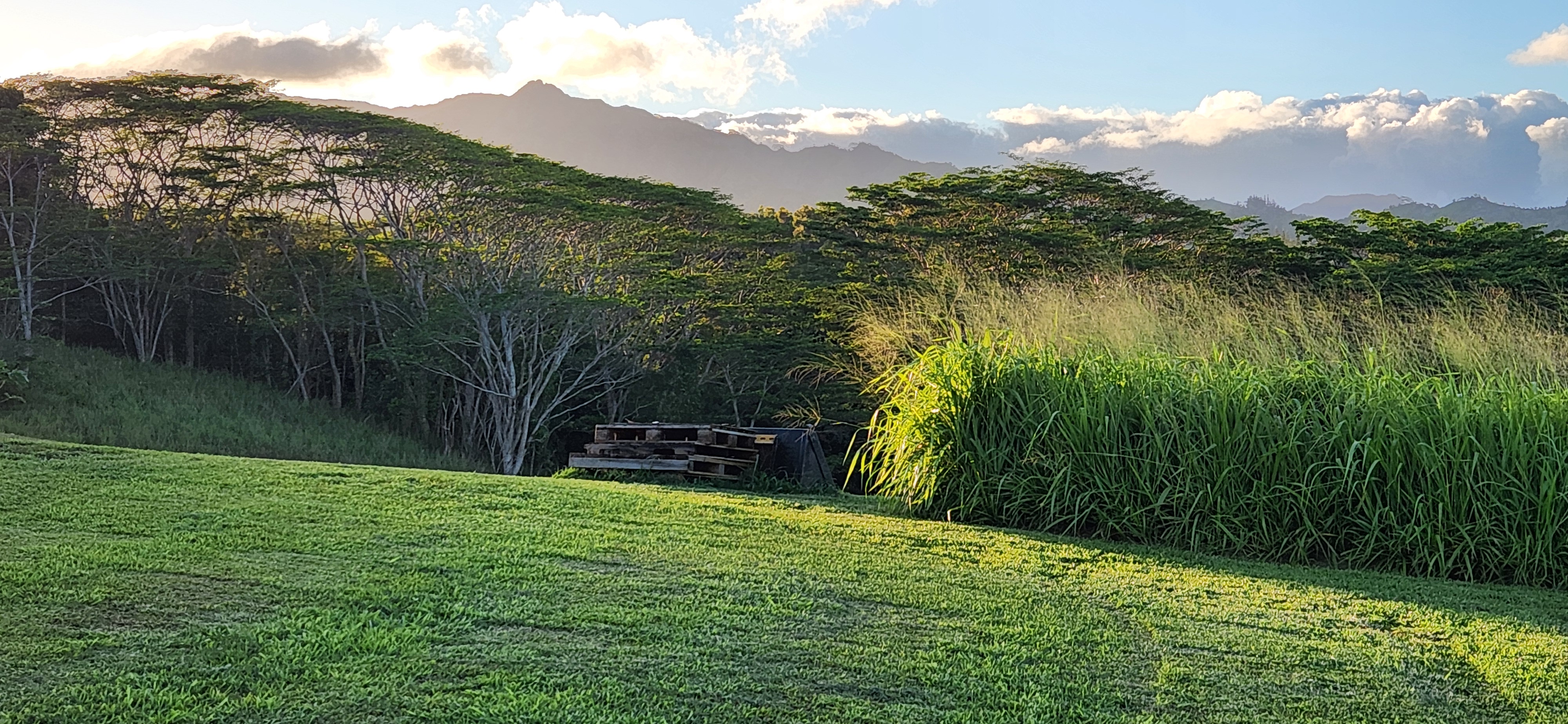 St, Unit 3C Kapaa, HI 96746 - Photo 25 of 25 a backyard of a house with table and chairs