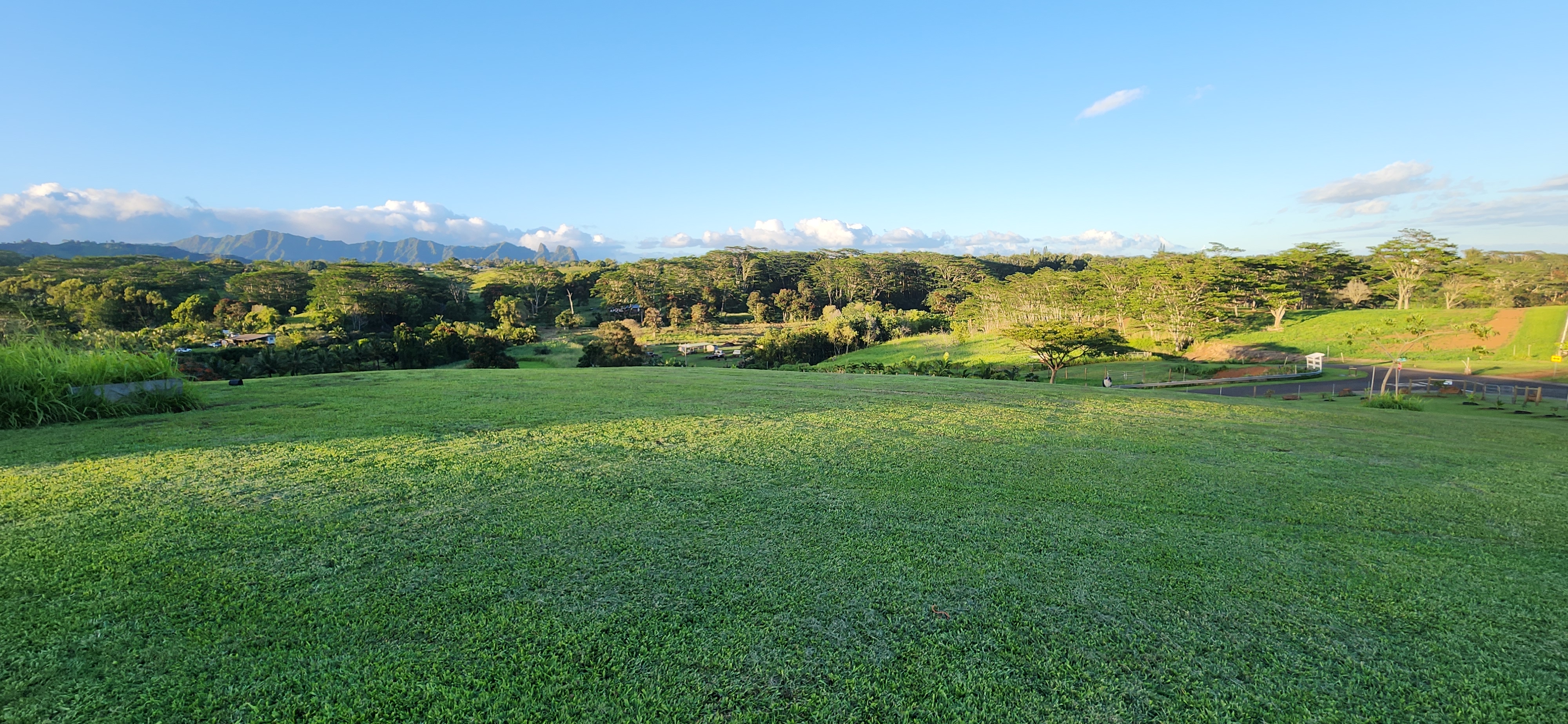 St, Unit 3C Kapaa, HI 96746 - Photo 9 of 25 a view of a grassy field with mountains in the background