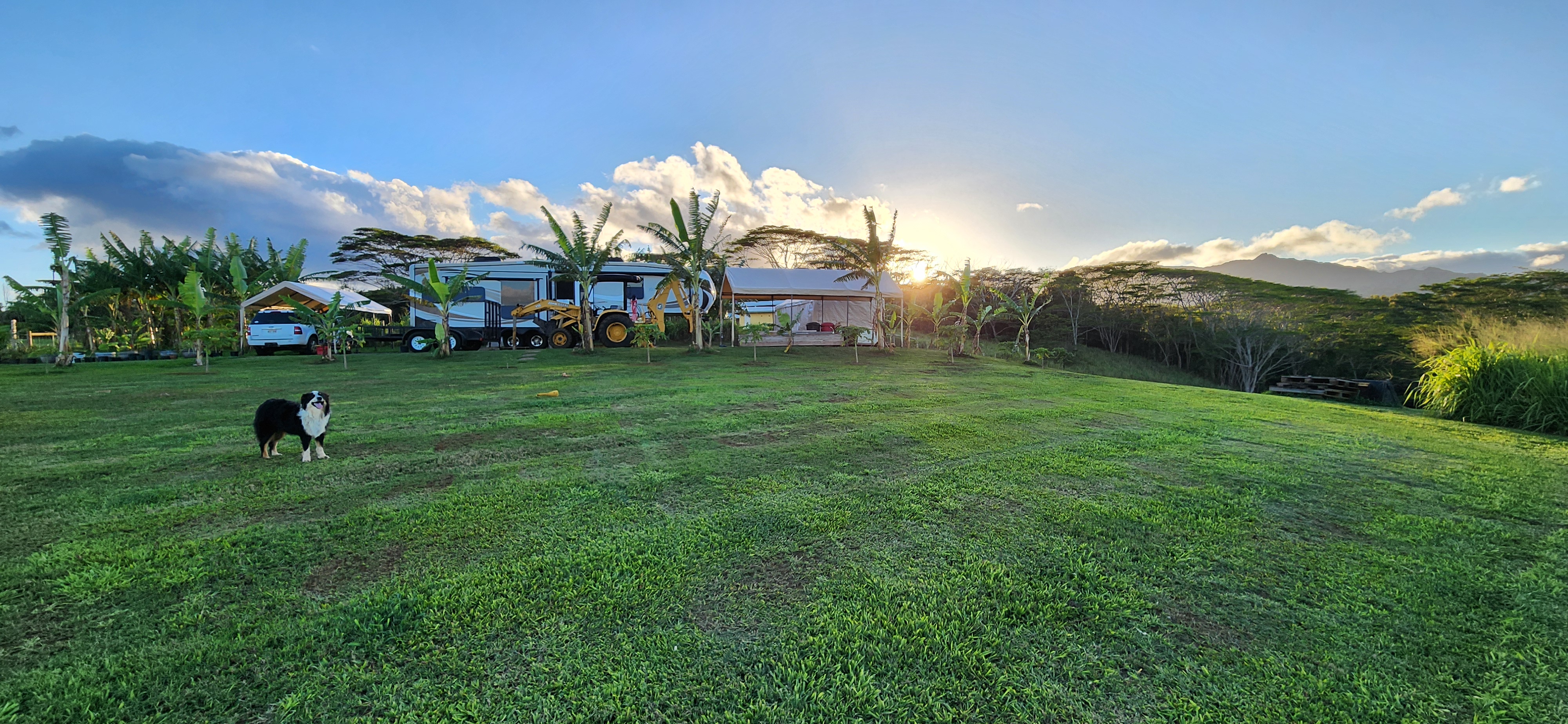 St, Unit 3C Kapaa, HI 96746 - Photo 10 of 25 a view of a house and a yard