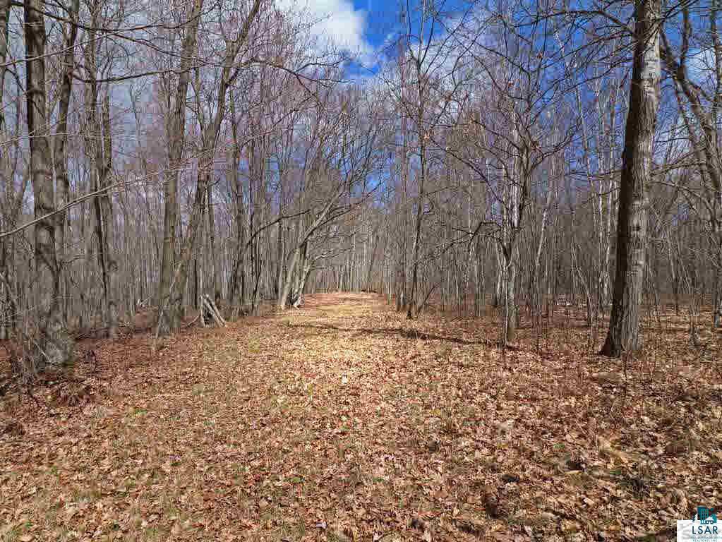 5777 Barrett Road Trego, WI 54888 - Photo 13 of 25