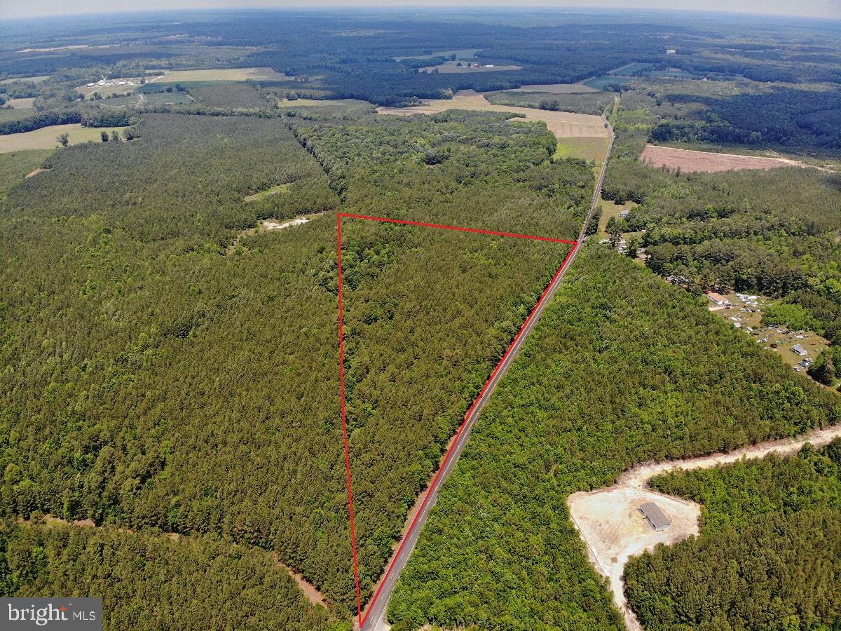 1 Salisbury Road Spring Grove, VA 23881 - Photo 3 of 18