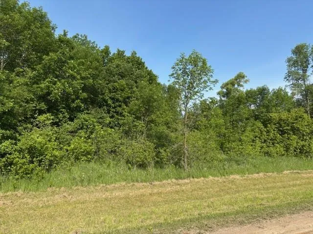 $39,000 | Tbd Severson Northwest, Evansville, MN 56326