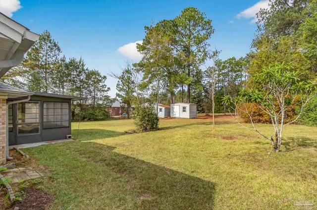 a tall tree is standing in front of a yard