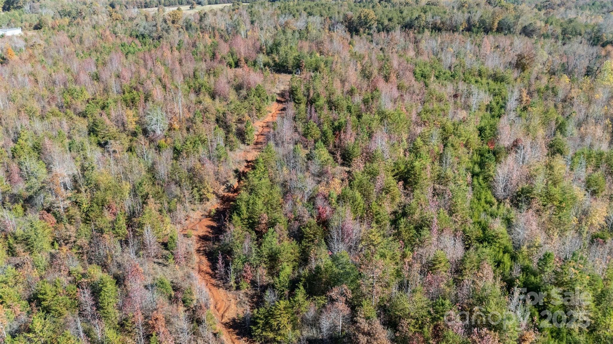 13562 Smithford Road Hickory Grove, SC 29717 - Photo 11 of 20 a view of a forest with a lush green forest