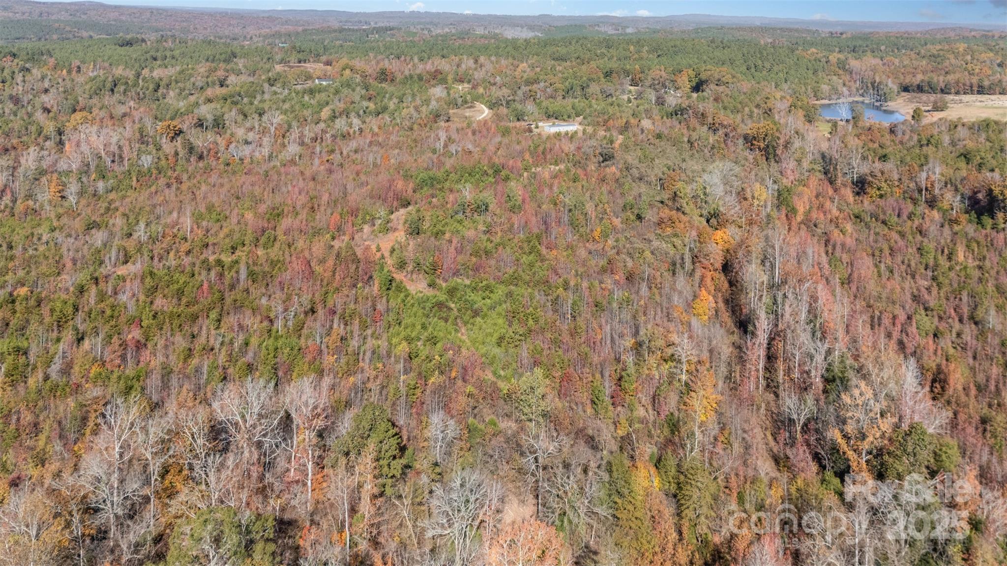 13562 Smithford Road Hickory Grove, SC 29717 - Photo 12 of 20 a view of a city with lush green forest