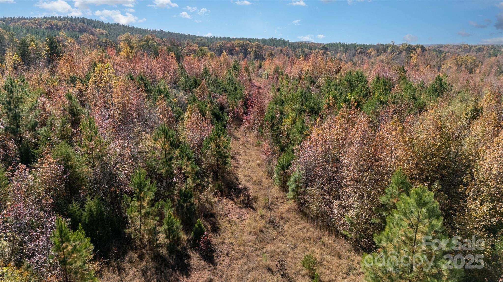 13562 Smithford Road Hickory Grove, SC 29717 - Photo 14 of 20 a view of a forest with a forest