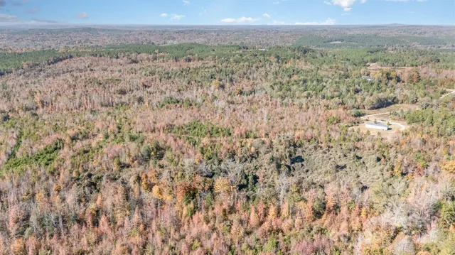 $445,000 | 13562 Smithford Road, Hickory Grove, SC 29717