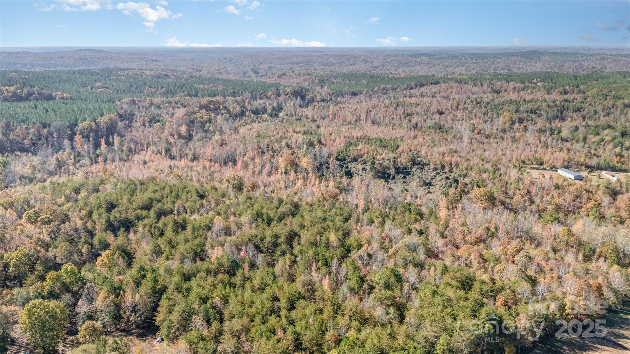 13562 Smithford Road Hickory Grove, SC 29717 - Photo 19 of 20 a view of a city with lush green forest